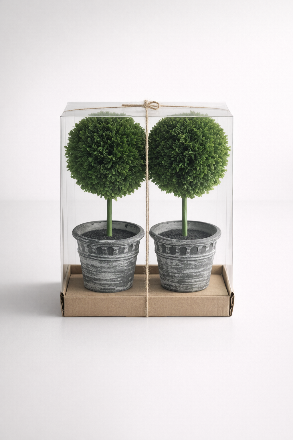 Set Of 2 Topiary In Black Pots