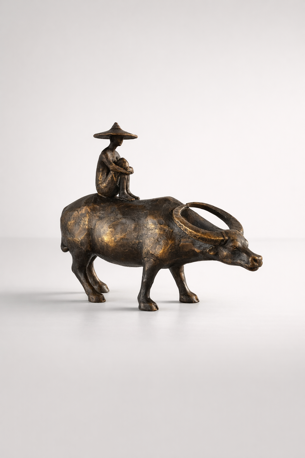Man Sitting On Buffalo