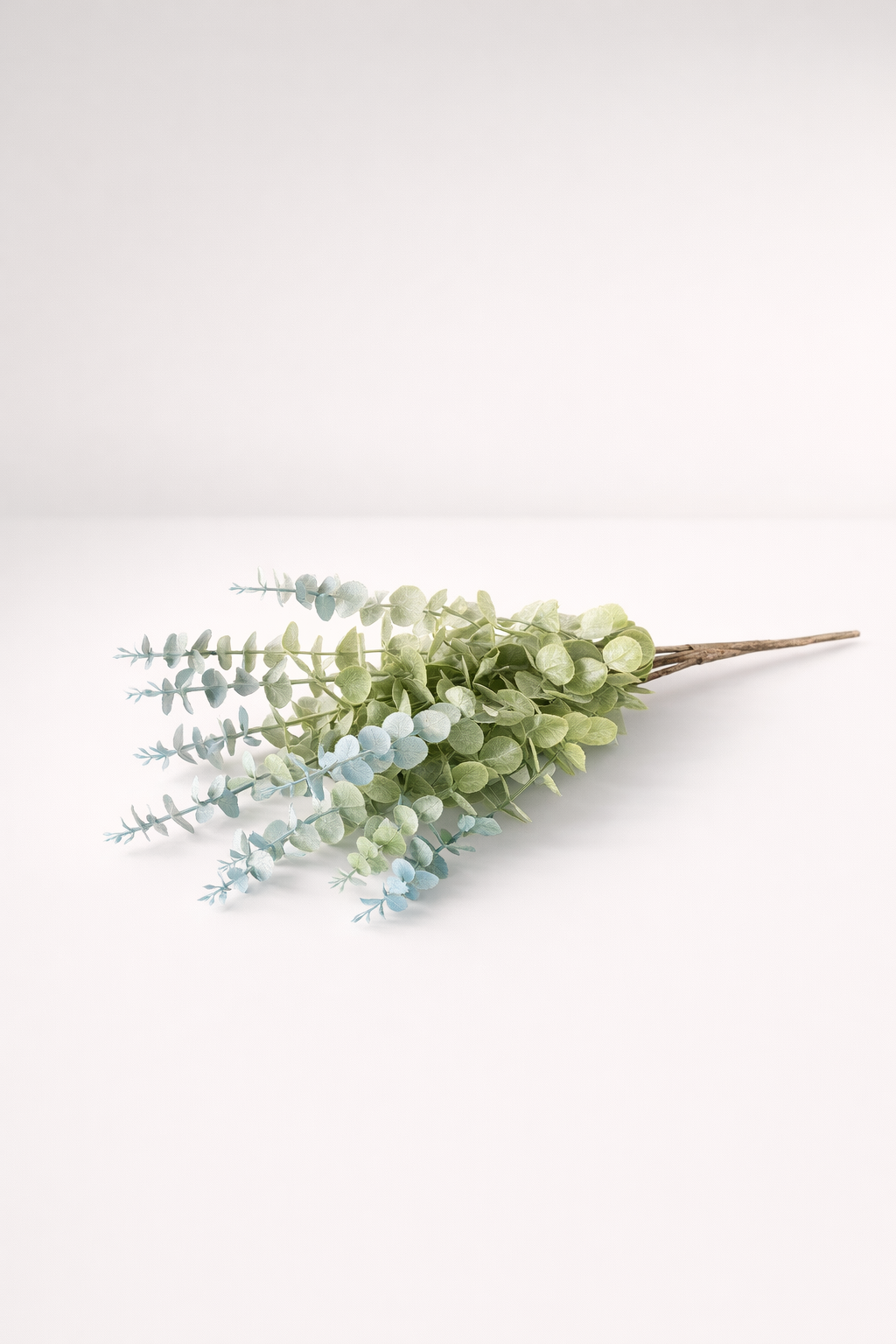 Eucalyptus 11 Stem Bunch
