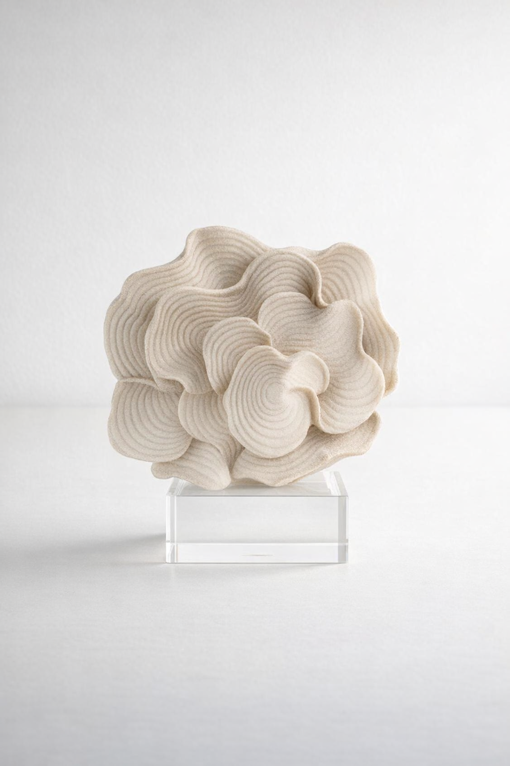 Coral On Crystal Base