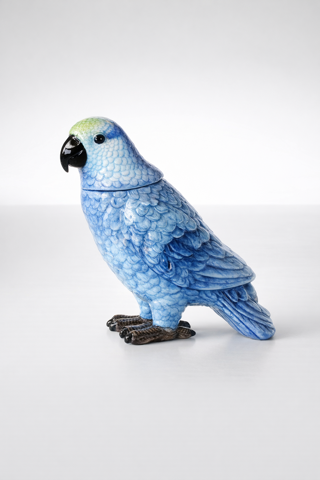 Blue Parrot Head Lid