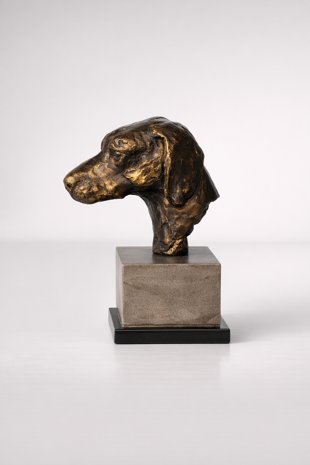 Brown Dog Head On Stand