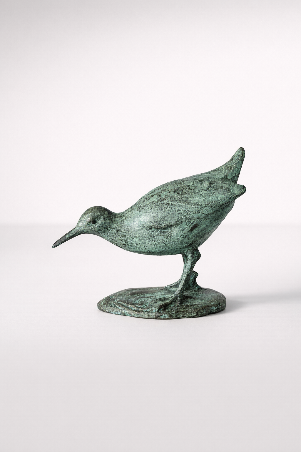 Green Sandpiper Bird