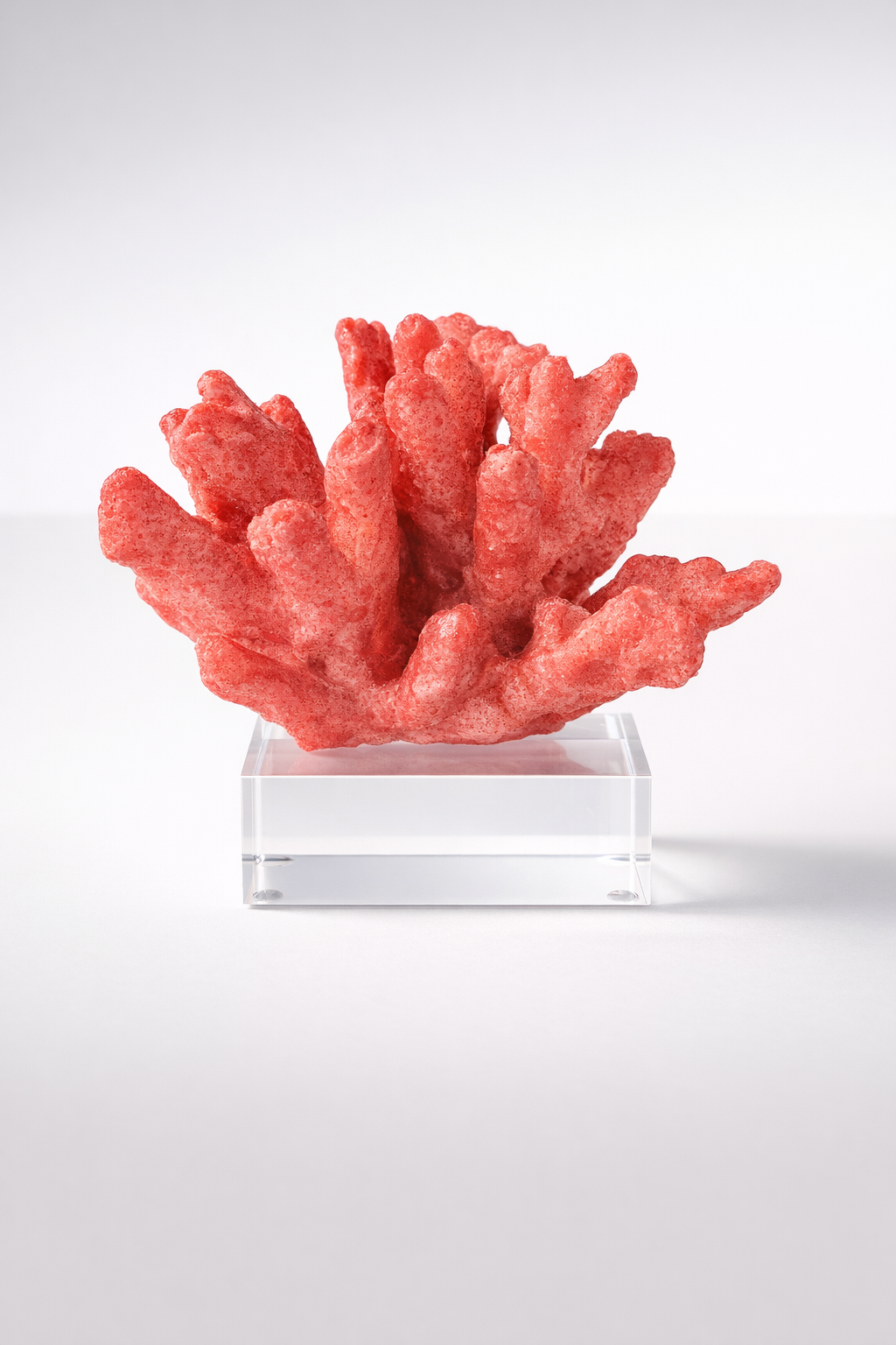 Red Coral On Crystal Base
