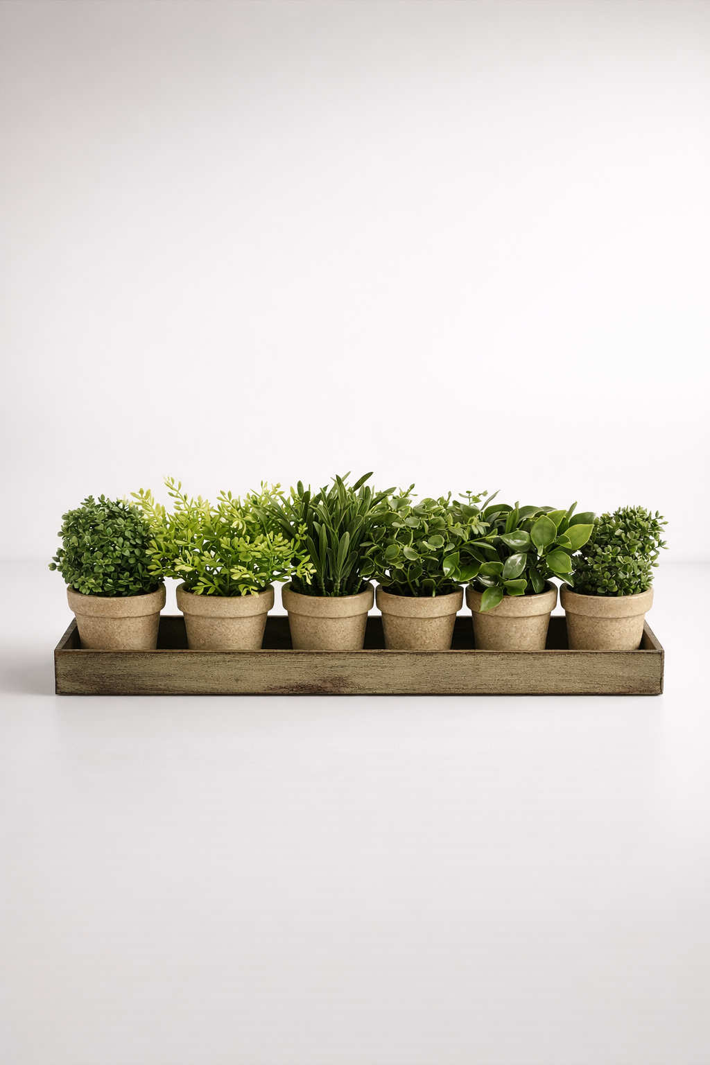 6 Small Herb Pots In Wood Tray