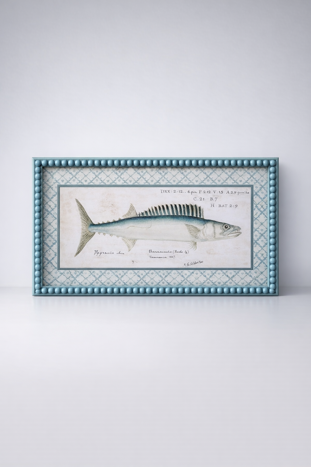 Barracuda Fish Picture Blue Bobble Frame