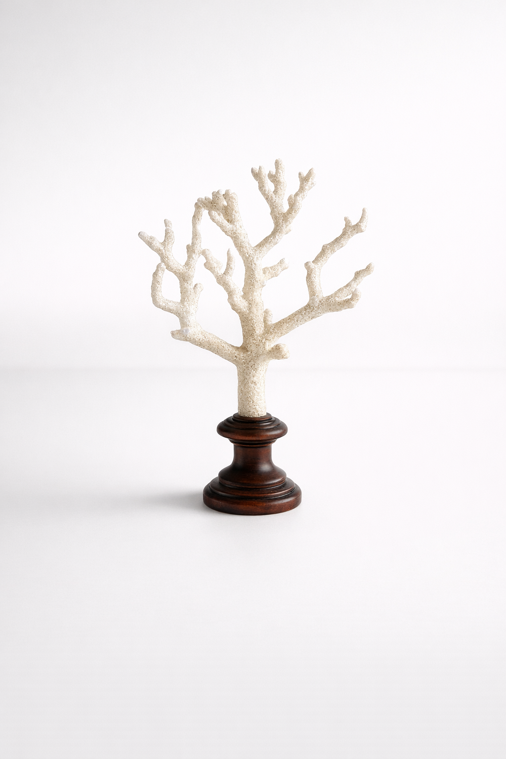 Natural Coral On Stand