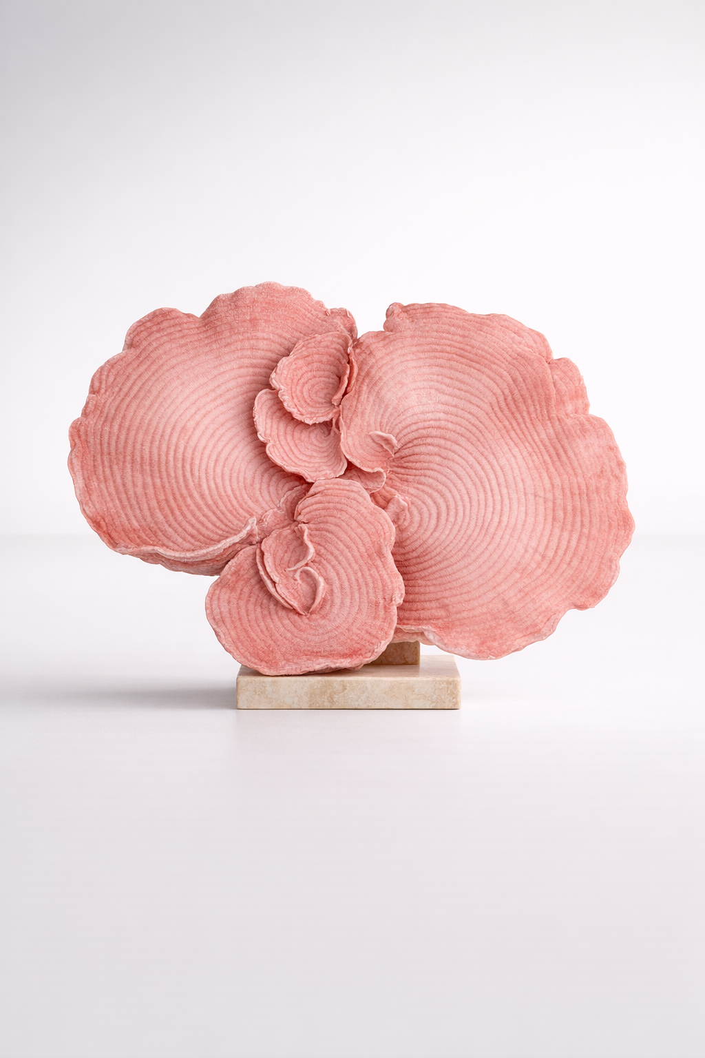 Pink Coral Ornament With Perspex Base