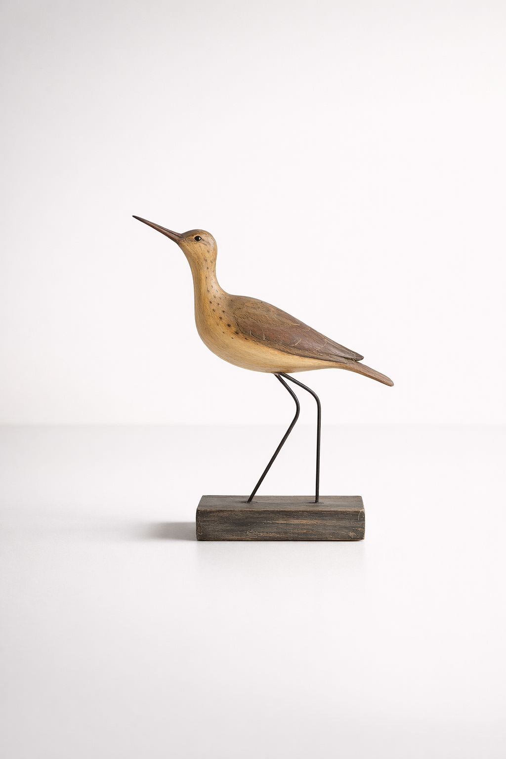 Brown Sea Bird On Base