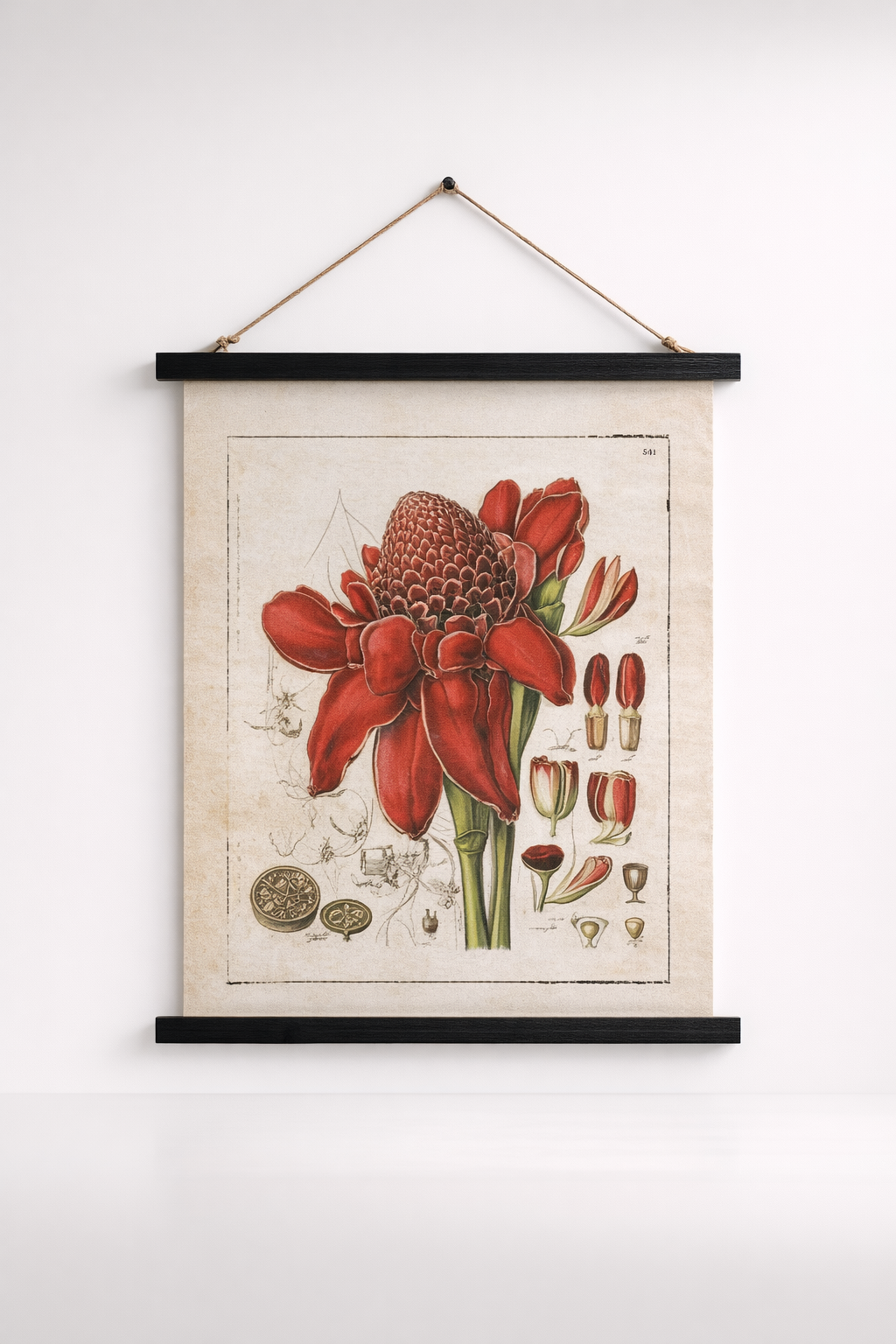 Red Botanical Hanging Print