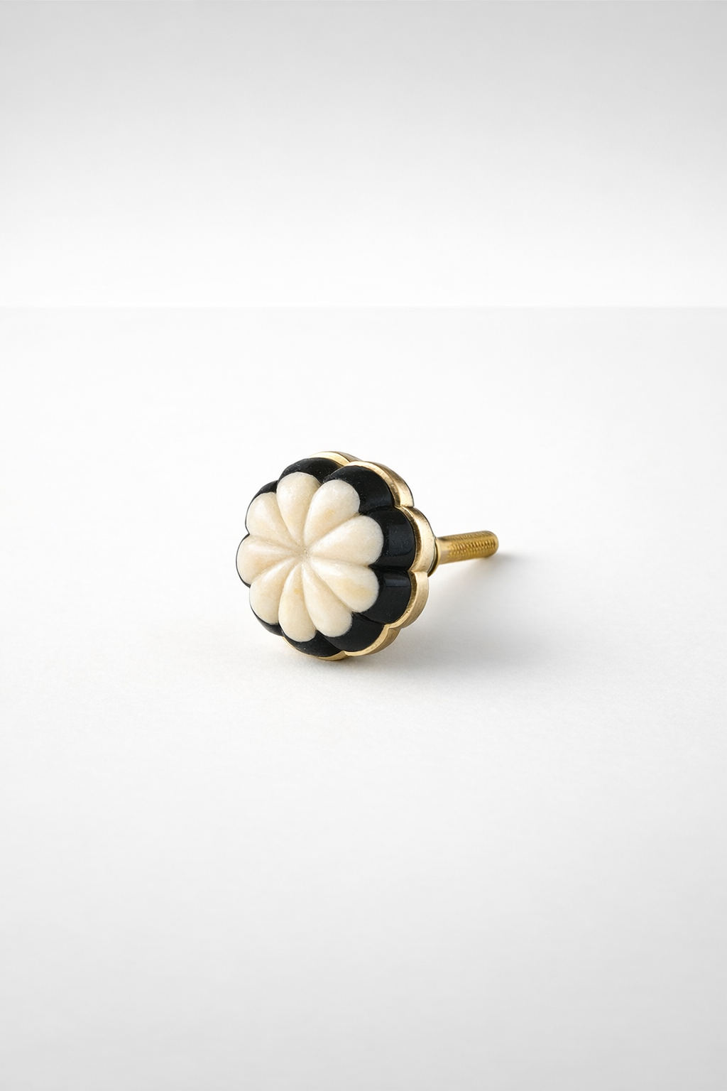 Bone 2 Tone Scallop Knob