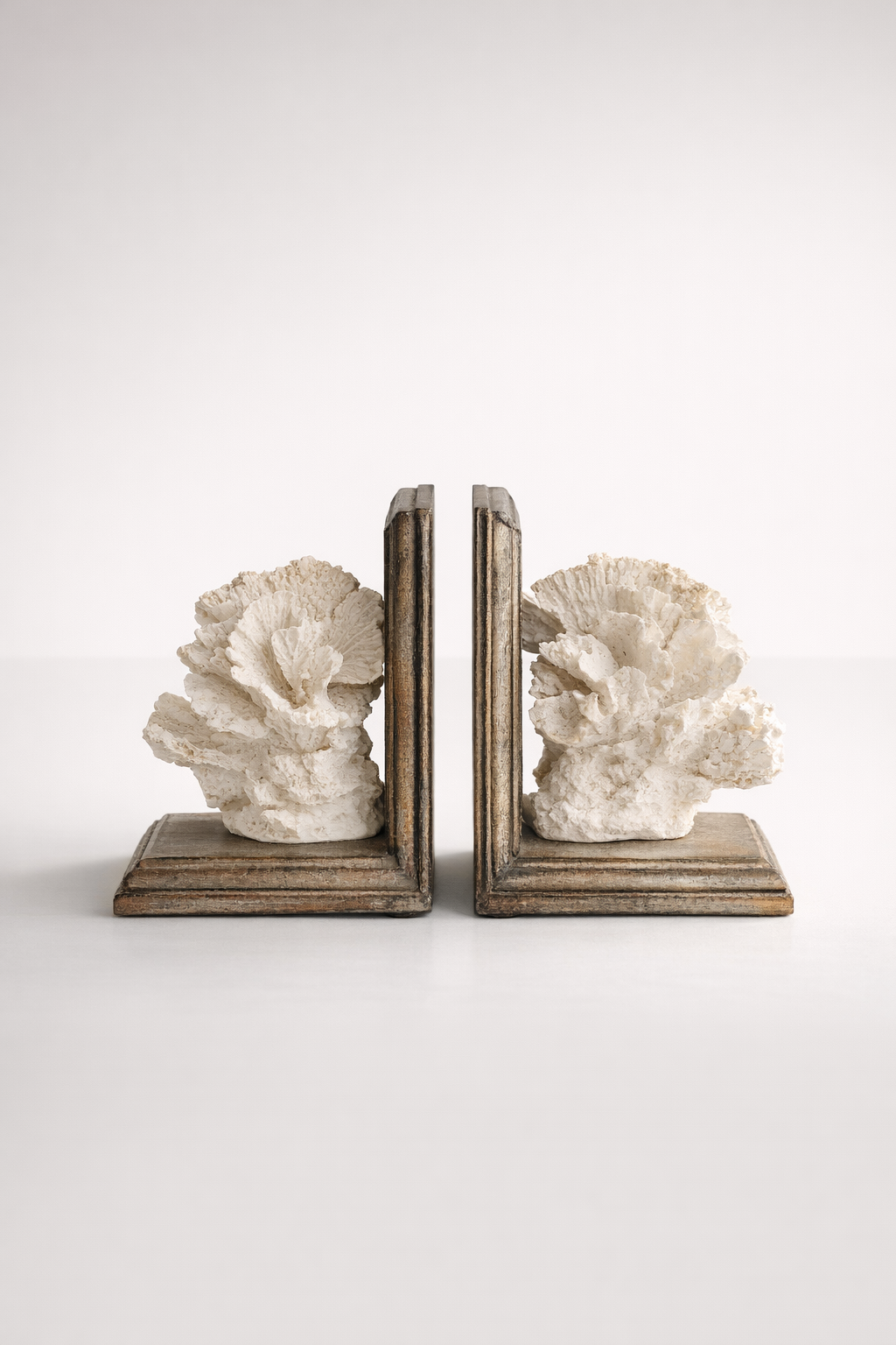 Pair Natural Coral Bookends