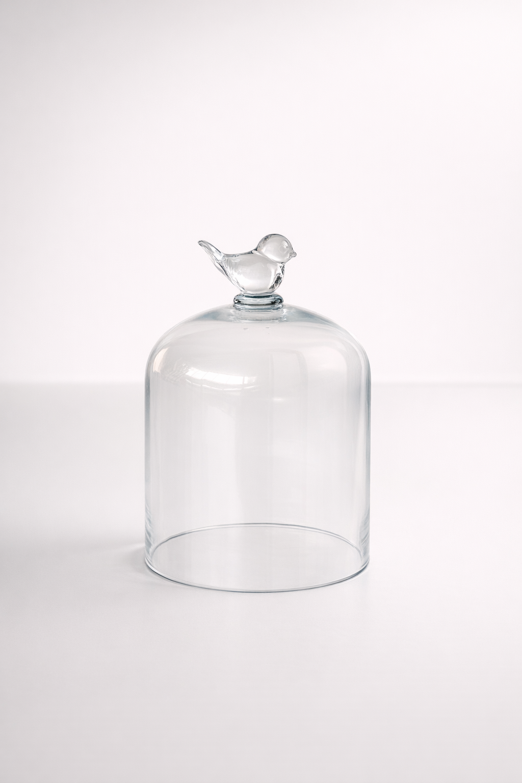 Small Glass Dome Bird Knob