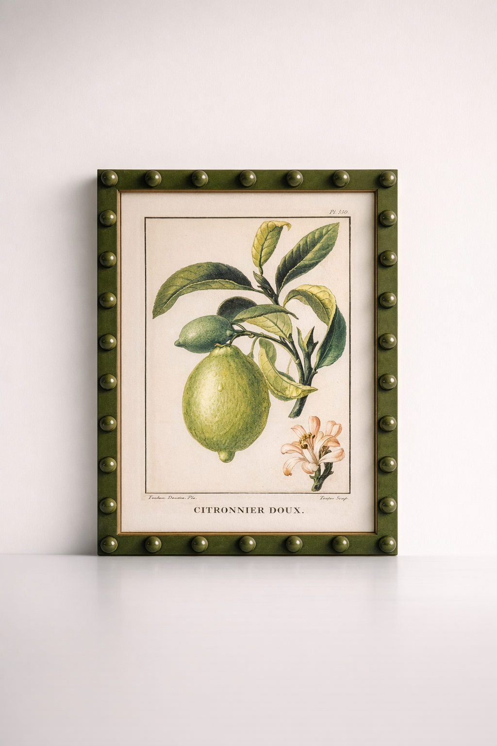 Fruit Picture Green Bobble Frame