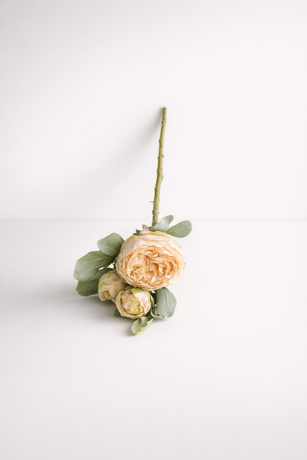 Pink 3 Stem Peony Spray