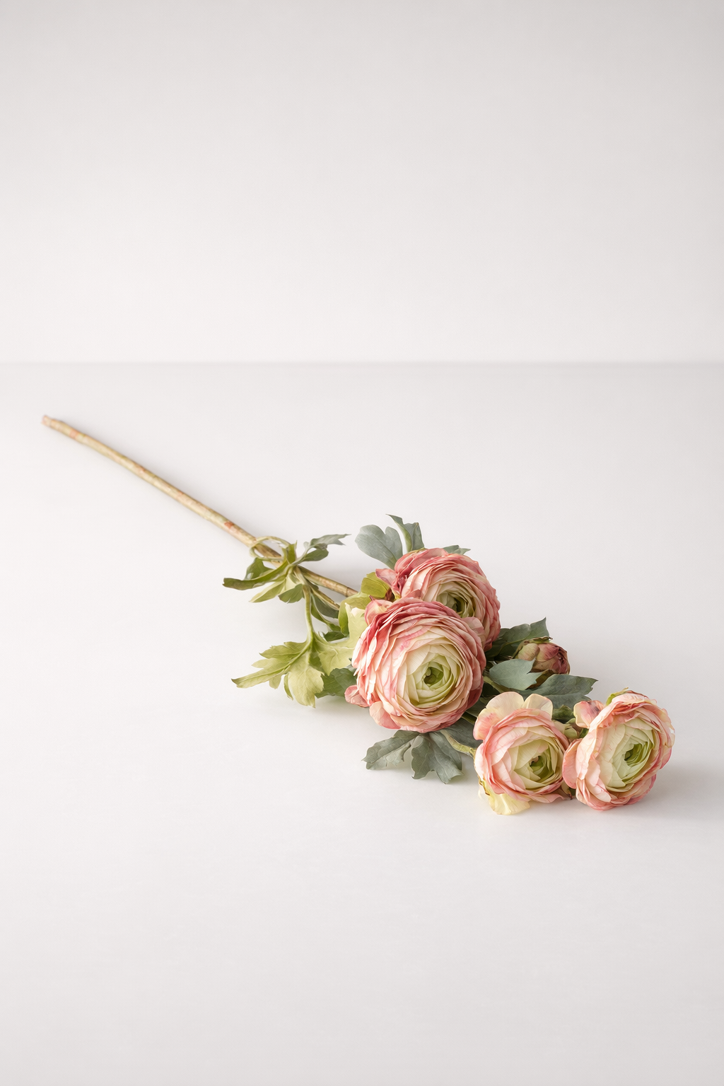 Pink Rose 6 Stem Bunch
