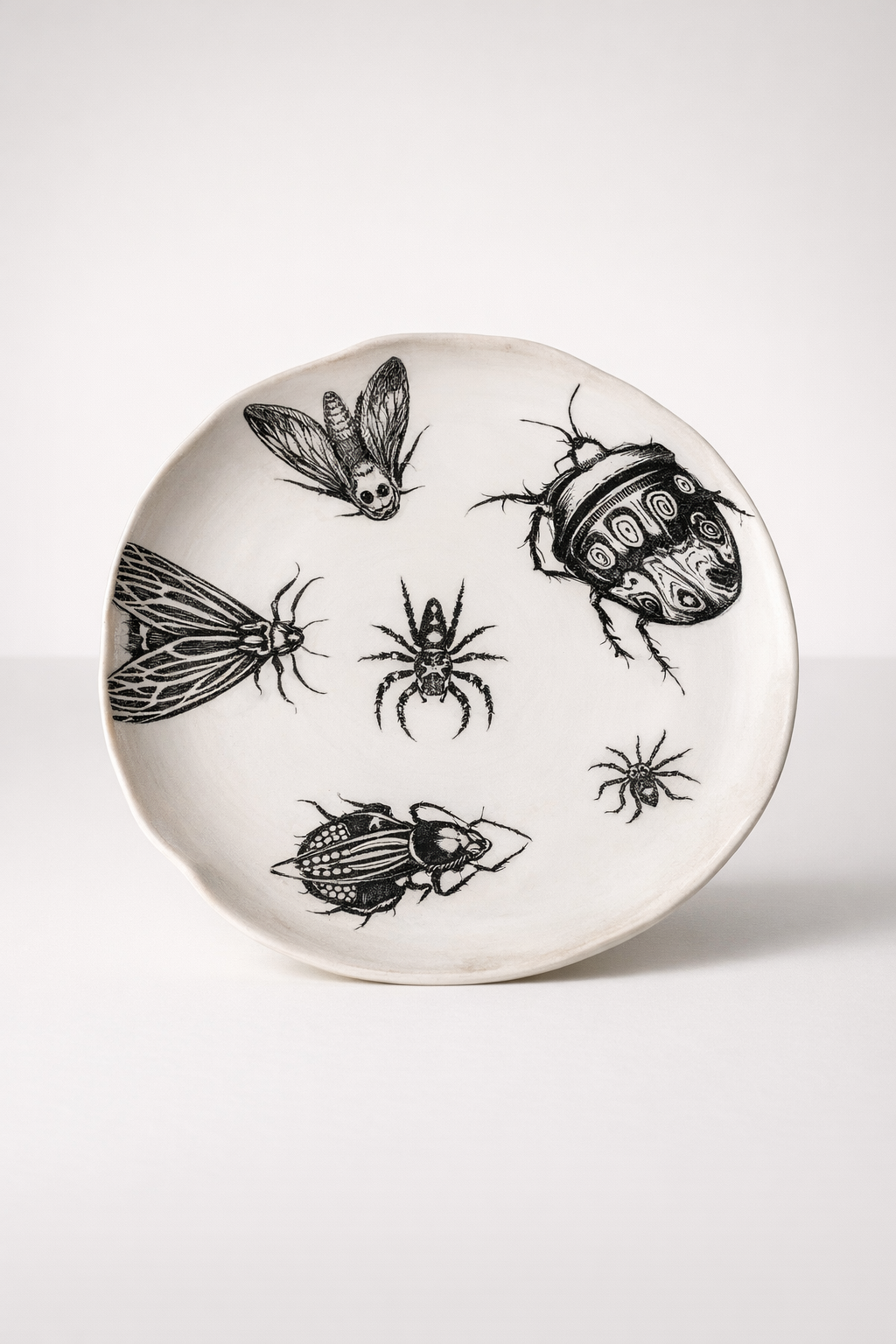 Black & White Insect Plate