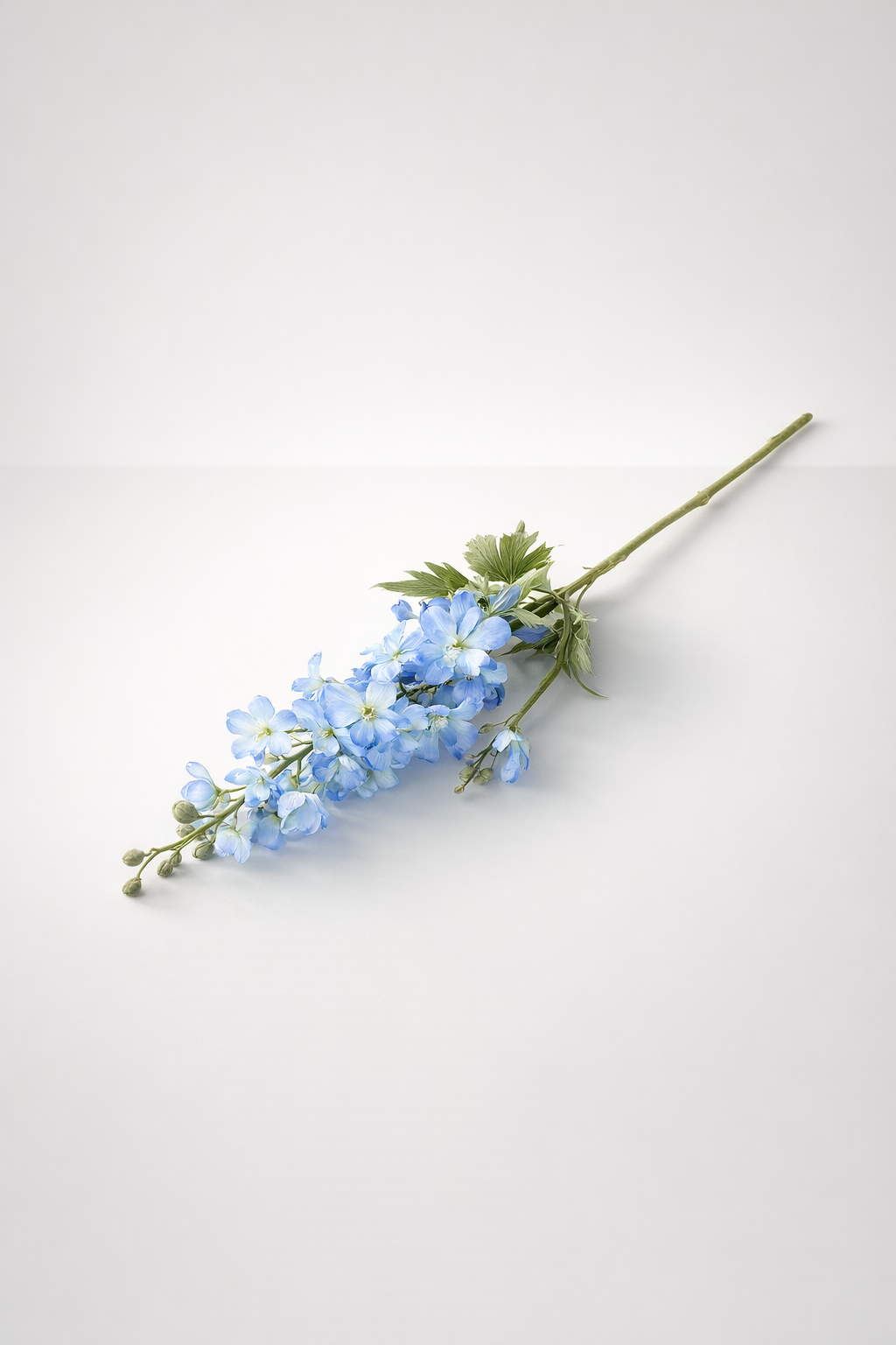 Blue Delphinium Stem