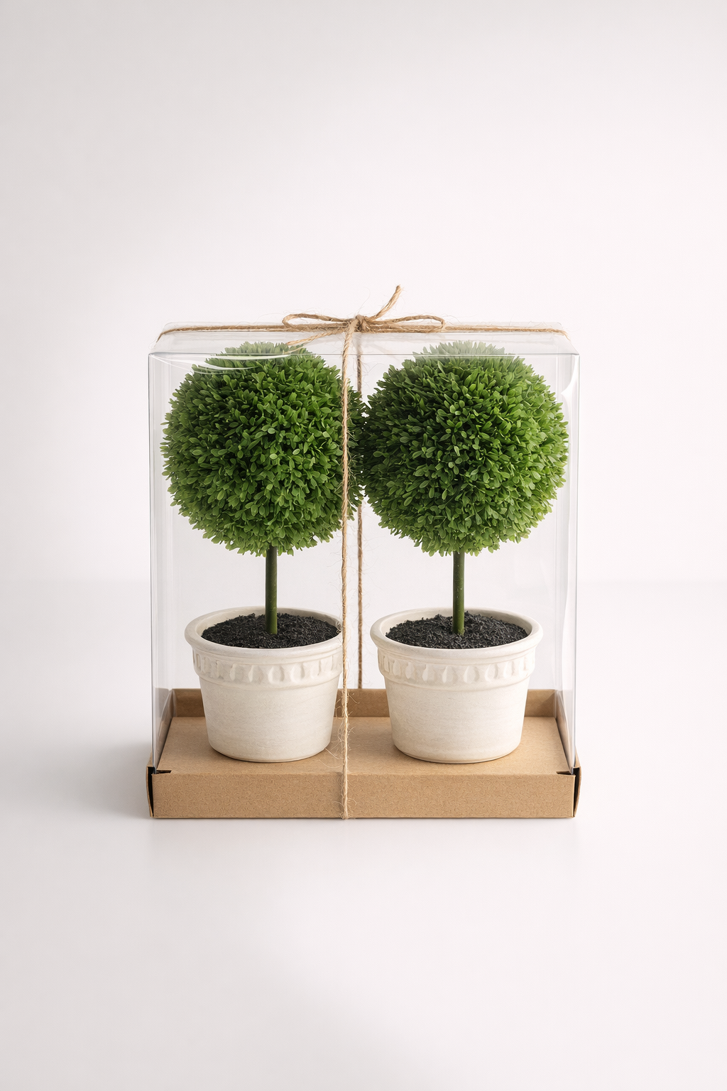 Set Of 2 Mini Topiaries