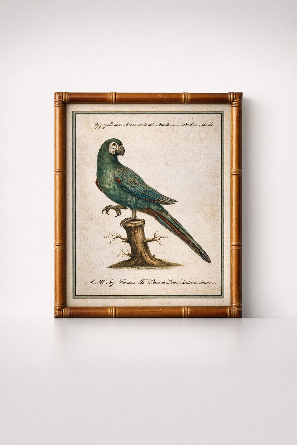 Green Parrot Picture Bamboo Frame