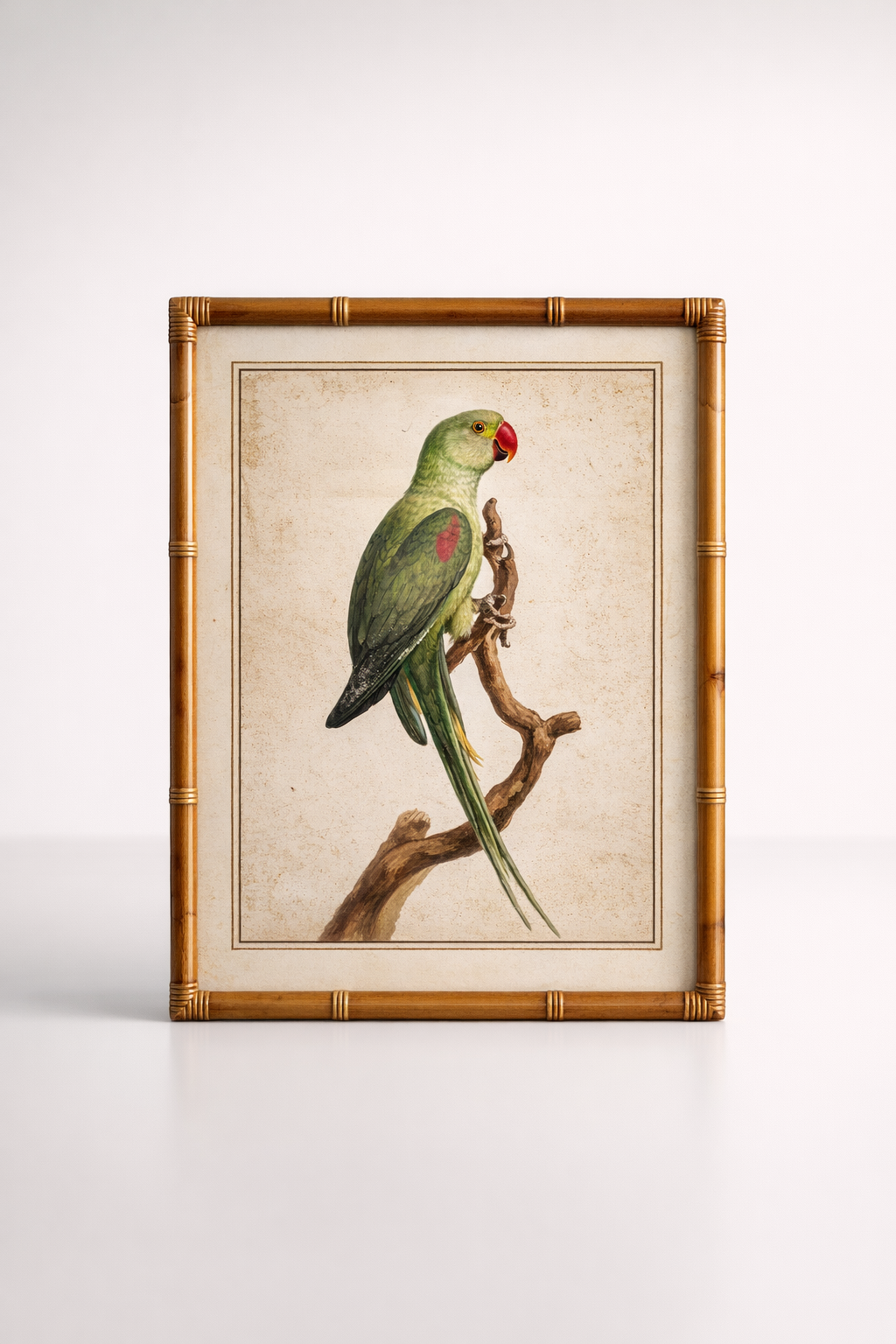 Green Parrot Pink Beak Picture