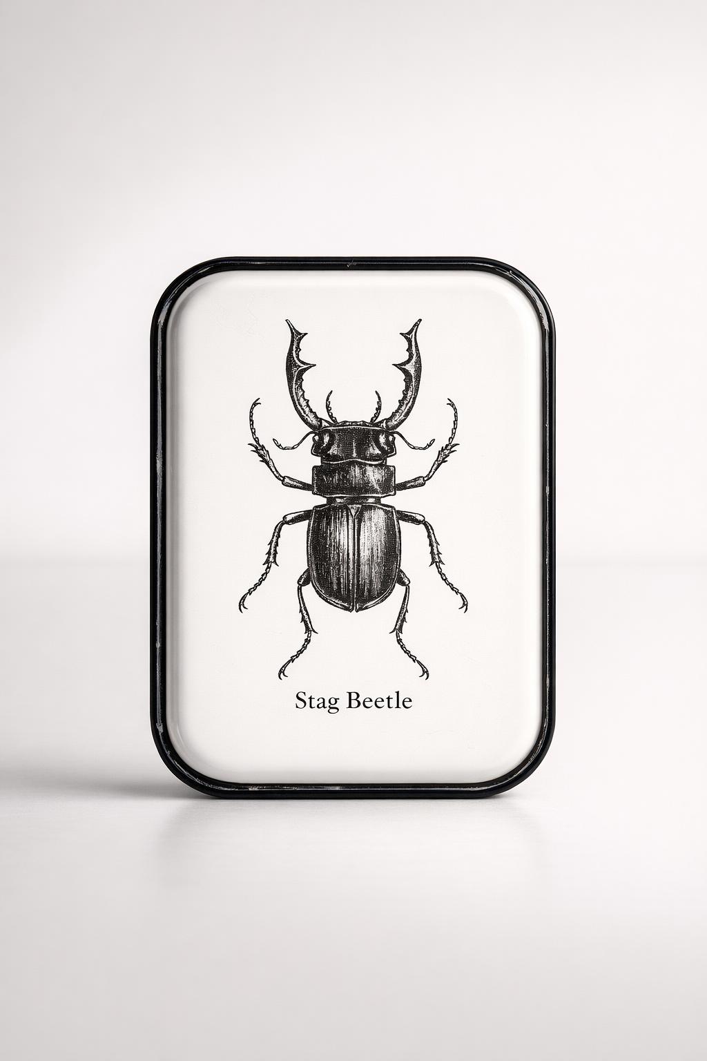 Stag Beetle Enamel Plaque