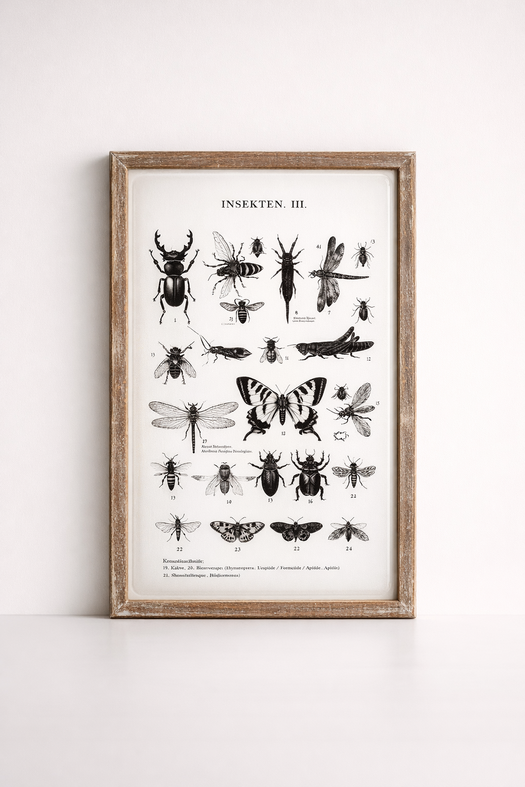 White Enamel Multi Insect Picture