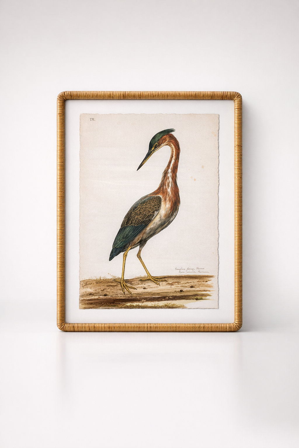 Long Neck Bird Picture Cane Frame