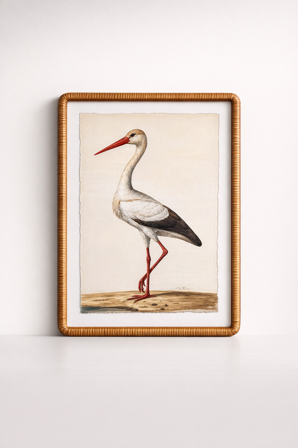 Stork Picture Cane Frame