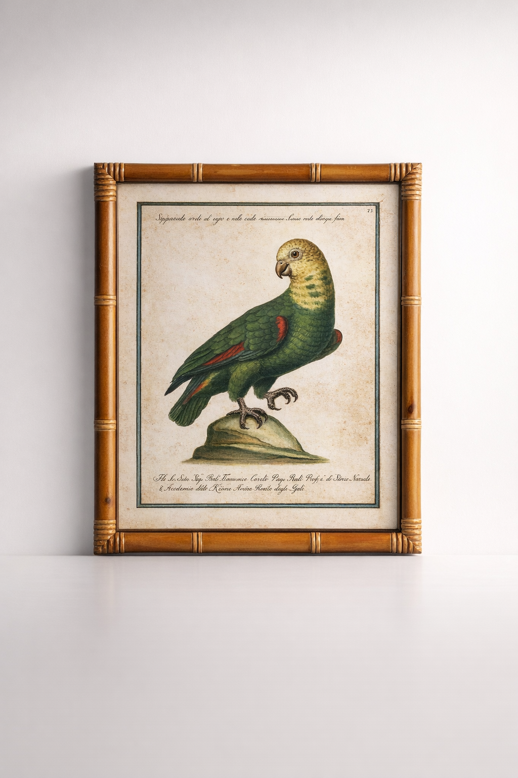 Green Parrot Yellow Head Picture Bamboo Frame