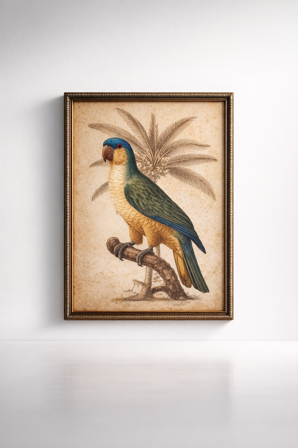 Parrot Blue Head Picture Rattan Frame