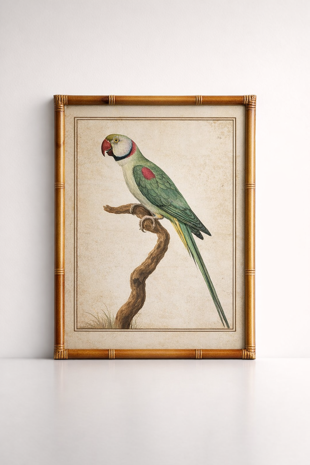 Green Parrot Blue Tail Picture Bamboo Frame