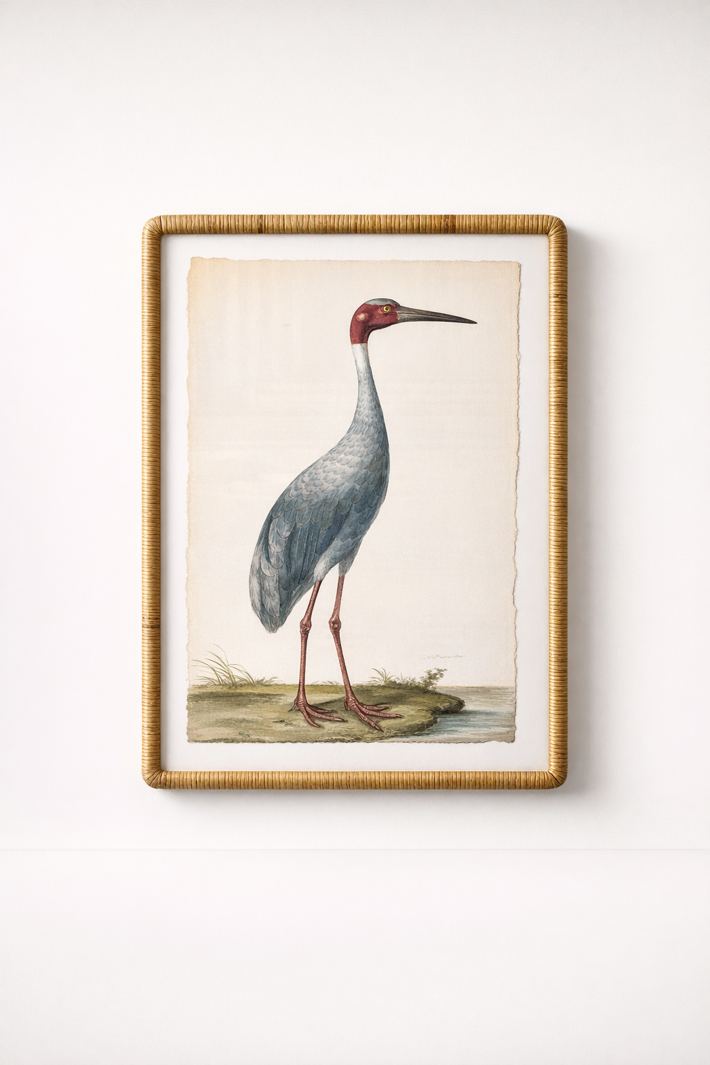 Blue Crane Picture Cane Frame