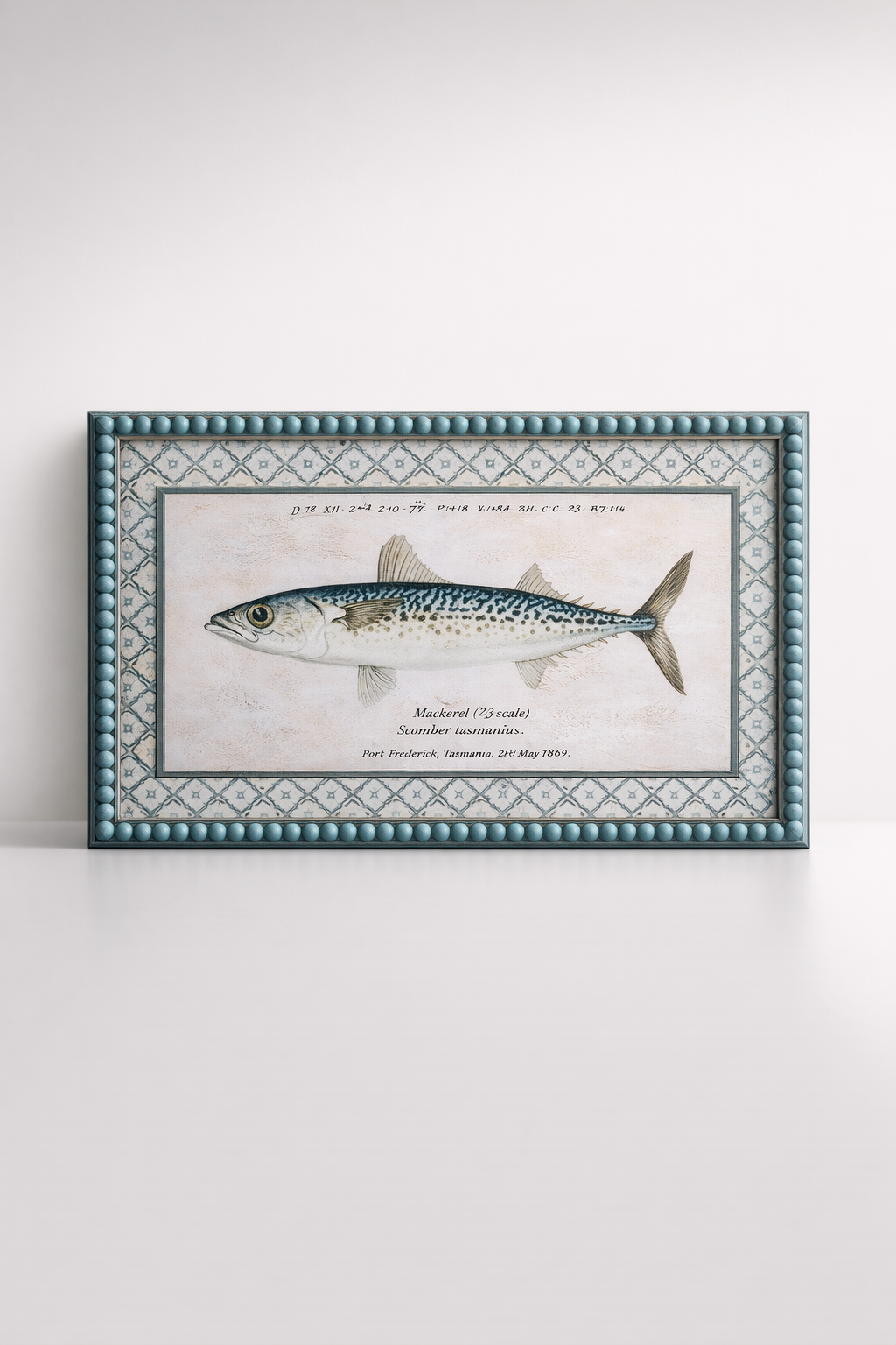 Mackarel Fish Picture Blue Bobble Frame