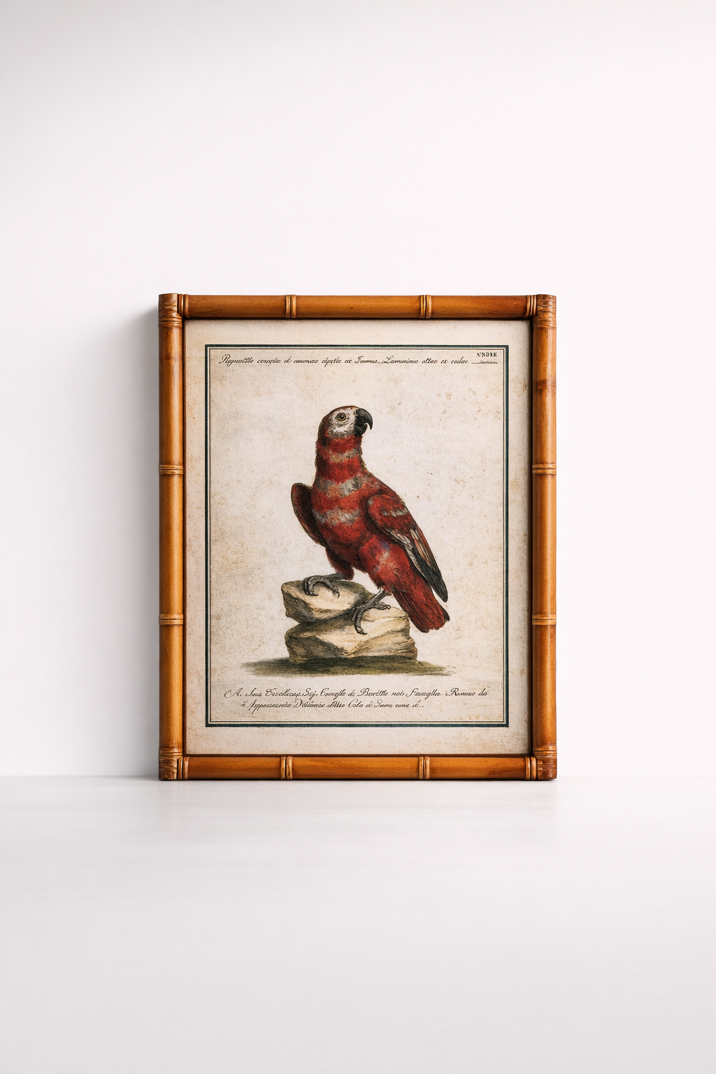 Red Parrot Picture Bamboo Frame