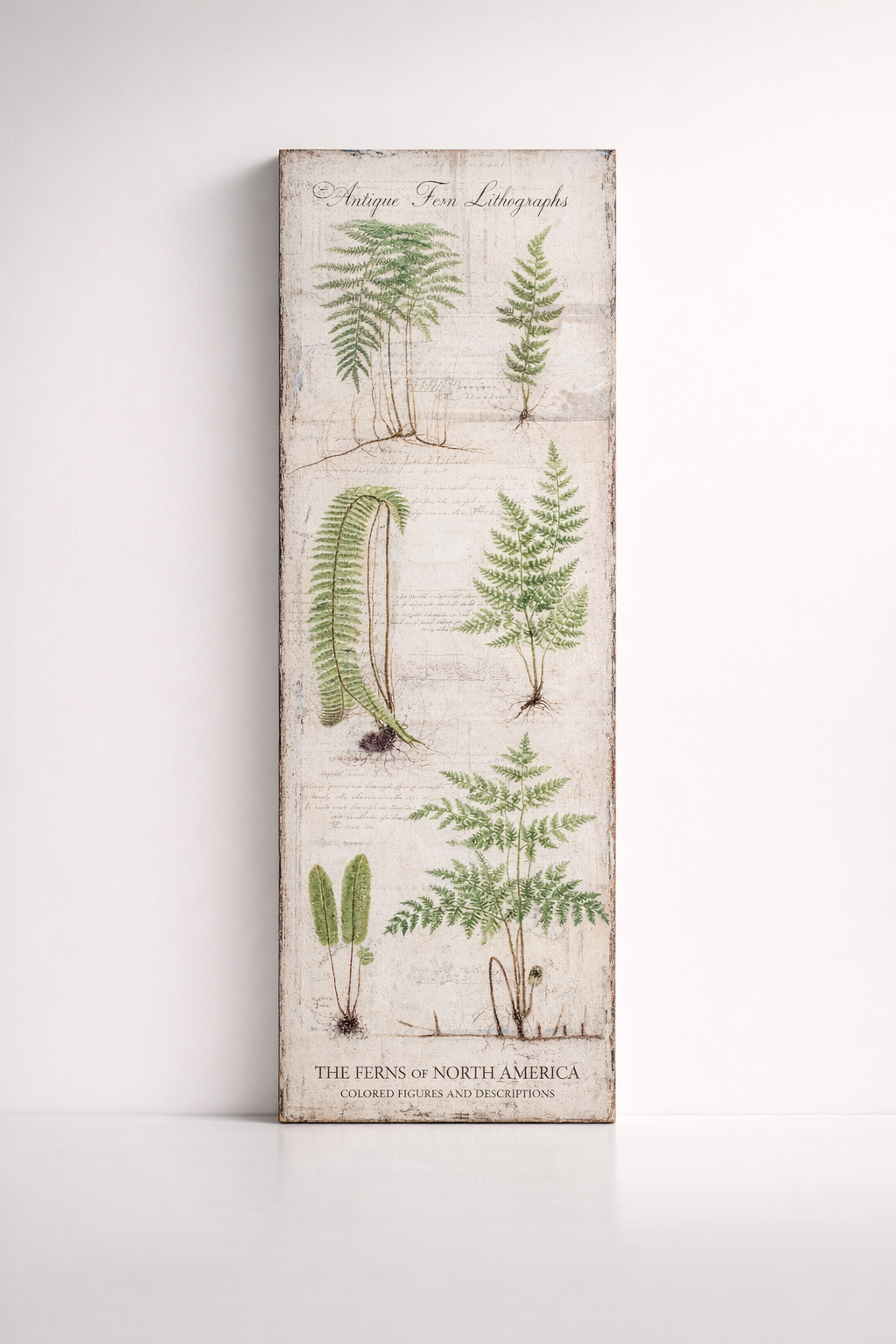 Fern Wall Plaque