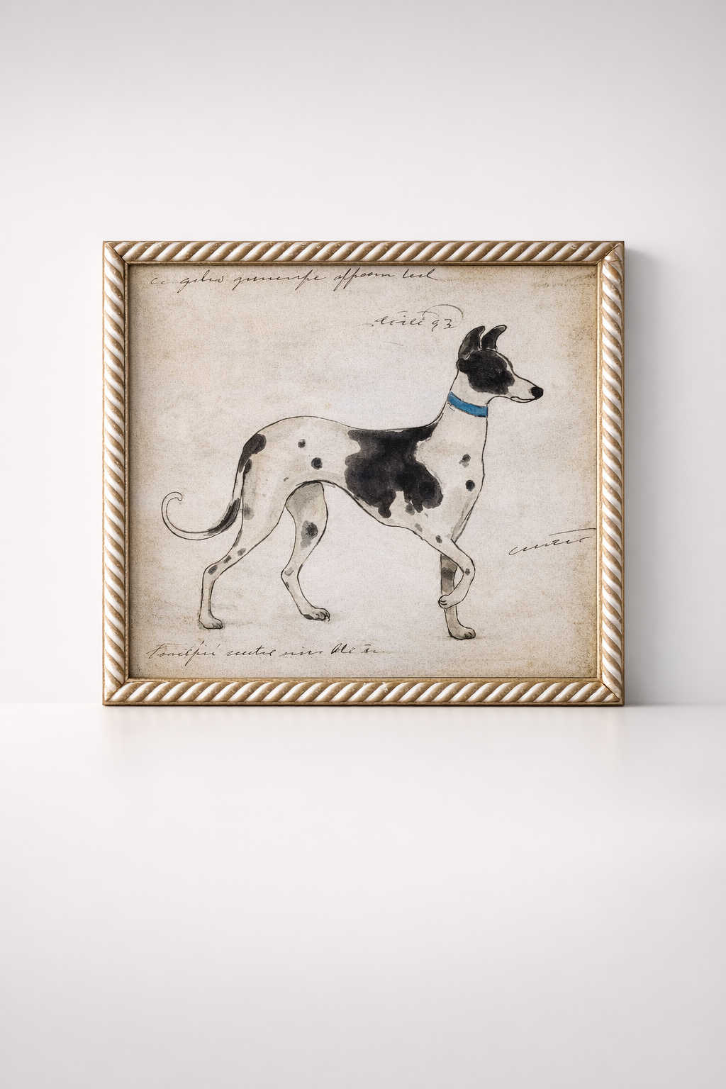 Black & White Greyhound Picture Scroll Frame