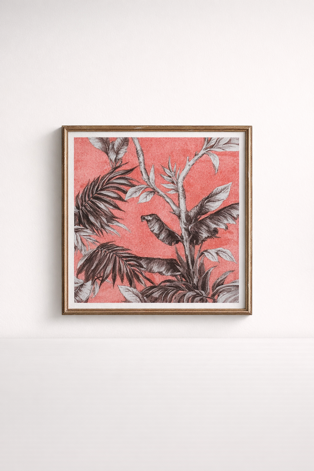 Coral Paper Picture