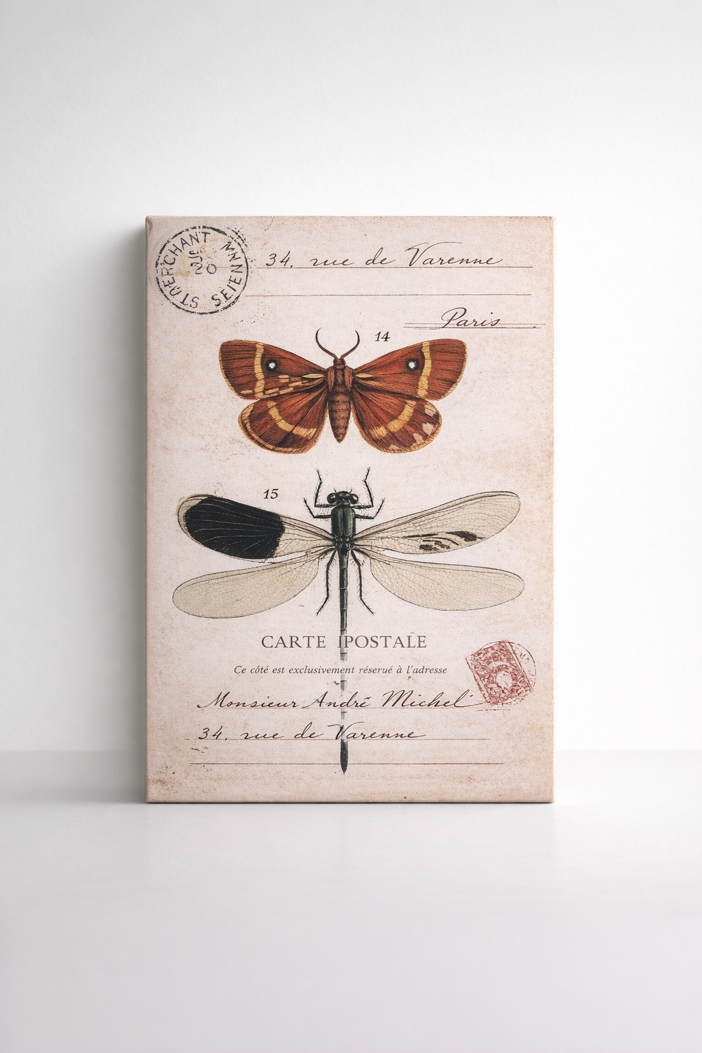 Canvas Picture Dragonfly