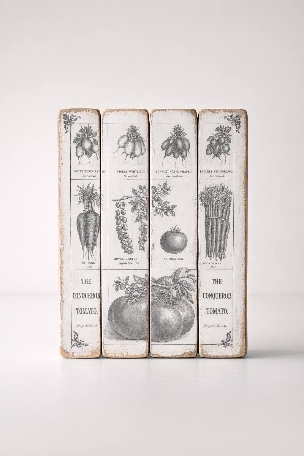 Off White Charcoal Tomato Picture