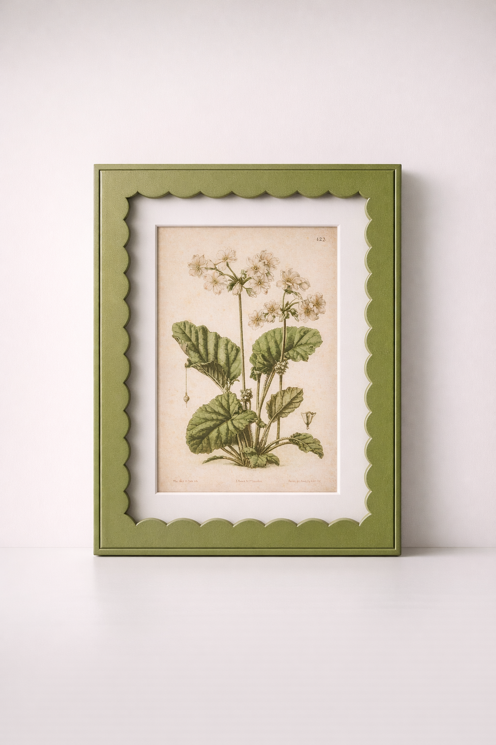 Green Scallop Box Frame Botanical