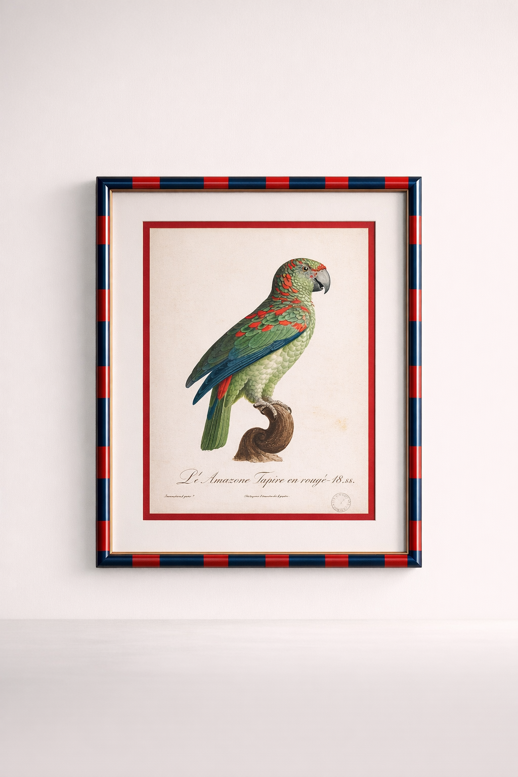 Red & Navy Stripe Frame Parrot Picture