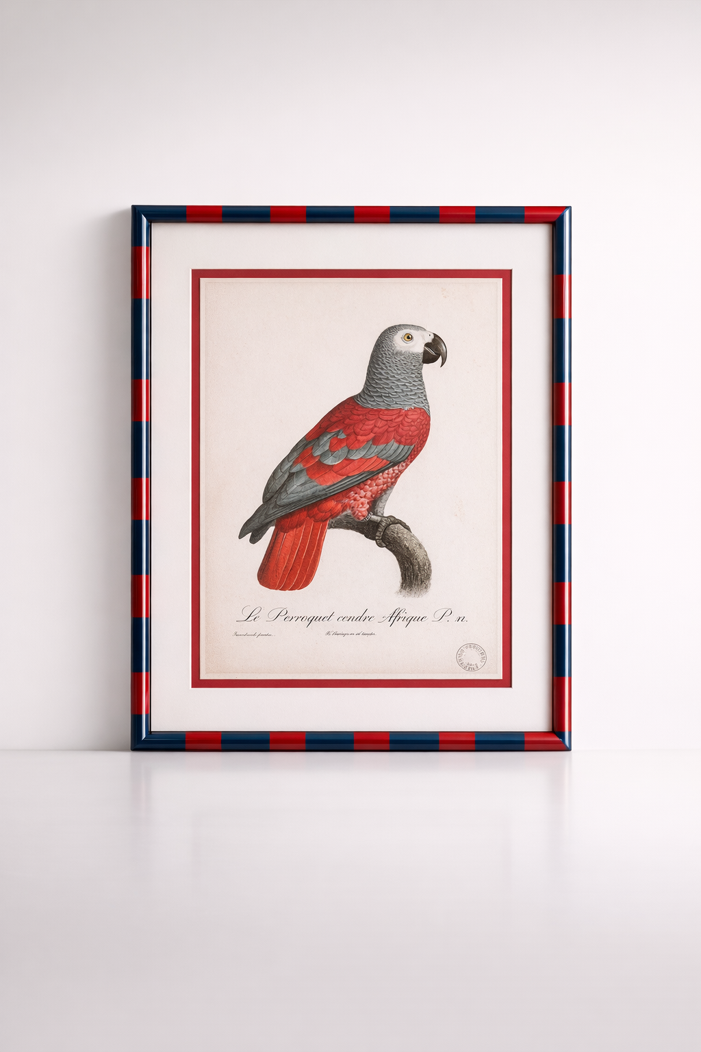 Red & Navy Stripe Frame Parrot Picture