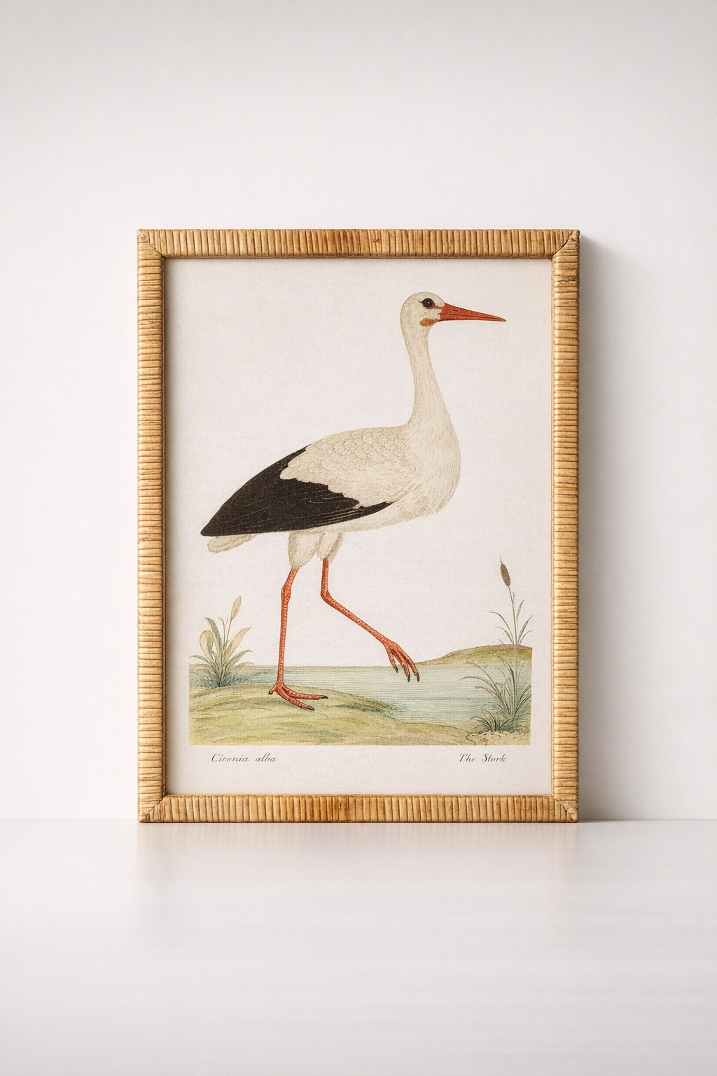 Stork Picture Rattan Frame