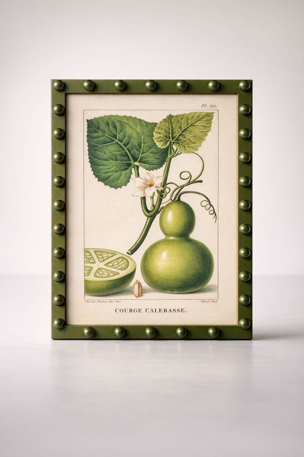 Fruit Picture Green Bobble Frame