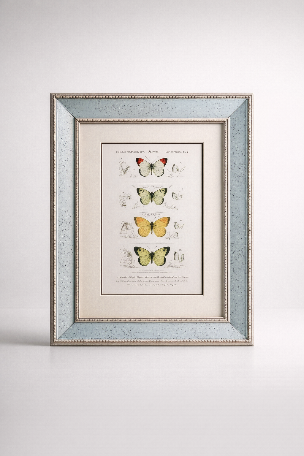 Antique Mirrored Butterfly Picture