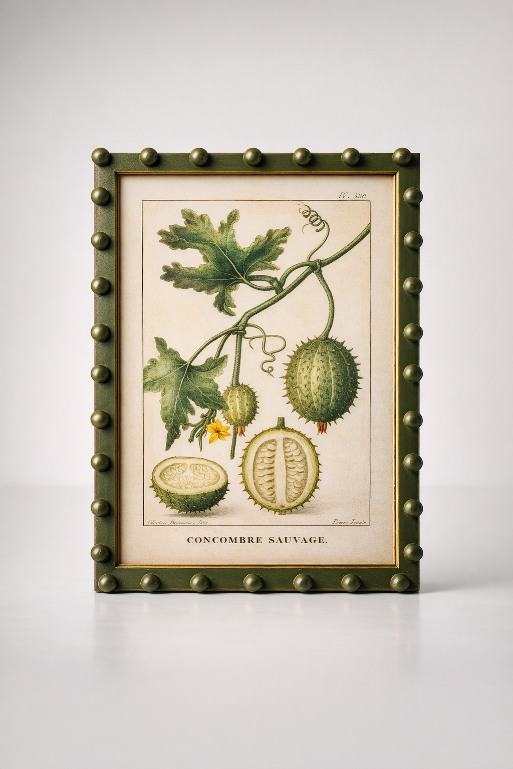 Fruit Picture Green Bobble Frame