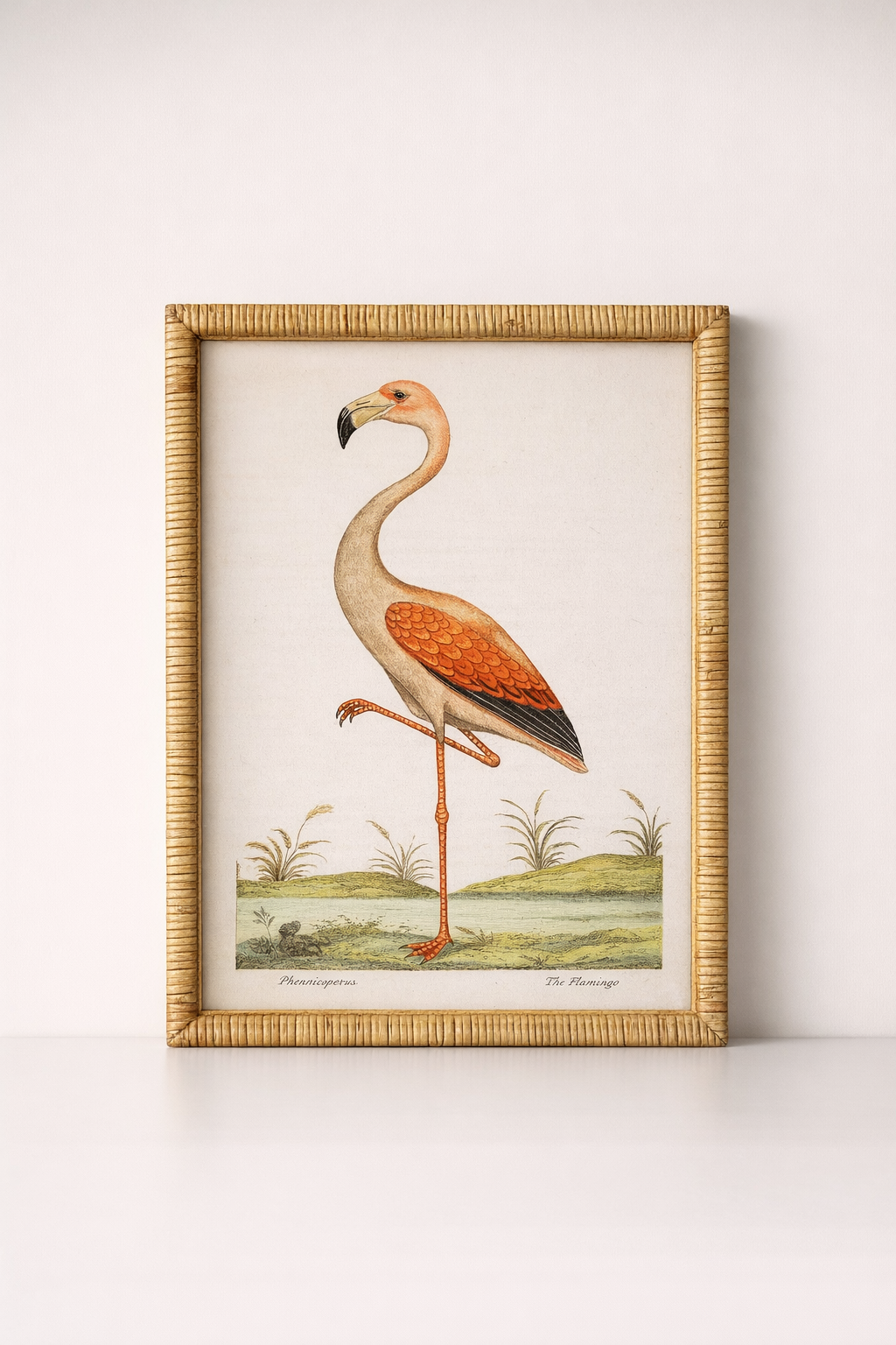 Flamingo Picture Rattan Frame