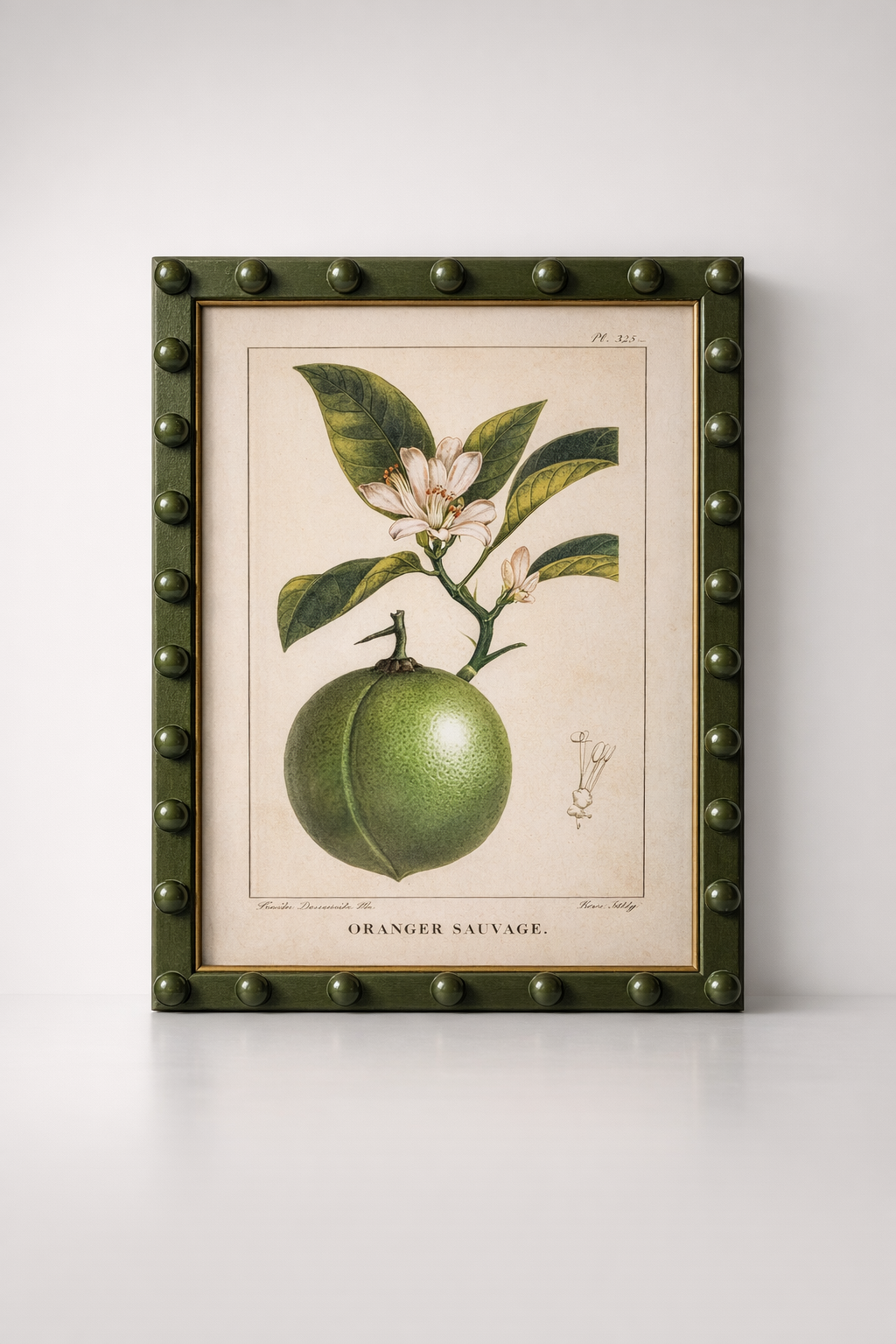 Fruit Picture Green Bobble Frame