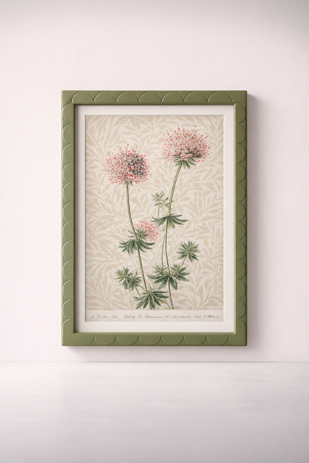 Green Scallop Frame Flower Picture